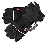 Thermrup Beheizbare Handschuhe mit 4 Stufen Temperaturregler, wasserabweichend atmungsaktive mit Thinsulate 3M, Akkubetrieb (L)