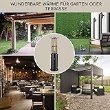 Blumfeldt Heizstrahler, Outdoor-Heizung für Garten & Terrasse, Mobiler Heizpilz, Heizstrahler mit Gas und Elektrischer Zündung, Terrassenheizstrahler mit 360° Fire View, Gasheizungen mit Bodenrollen - 5